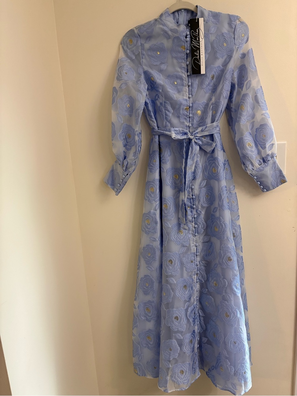 Dalia MacPhee Periwinkle Floral Jacquard Organza Maxi Dress D2256 NWT - Picture 5 of 16